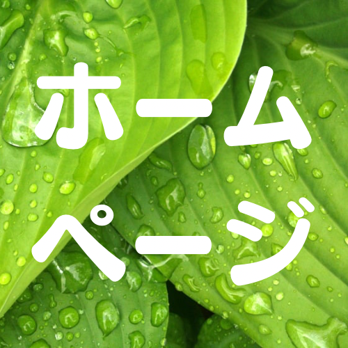 五感シロダーラホームページ